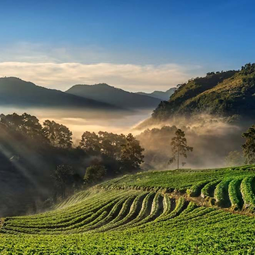 local__0003_assam-destinations