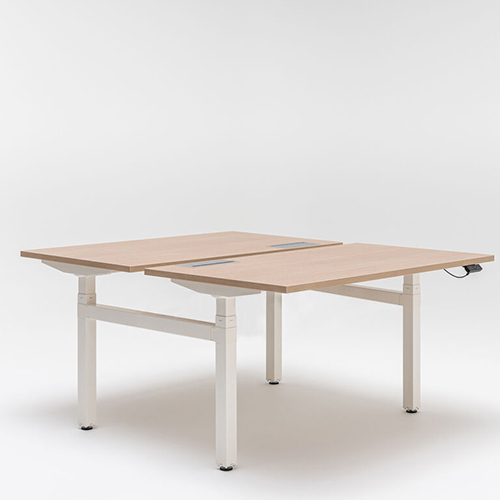 r__0003_Height Adjustable Table (1)